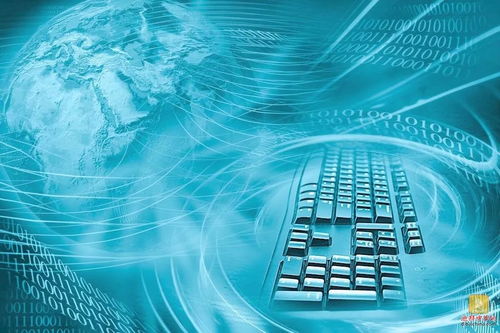 警惕網絡風險 在阿聯酋使用互聯網服務時如何保護個人隱私